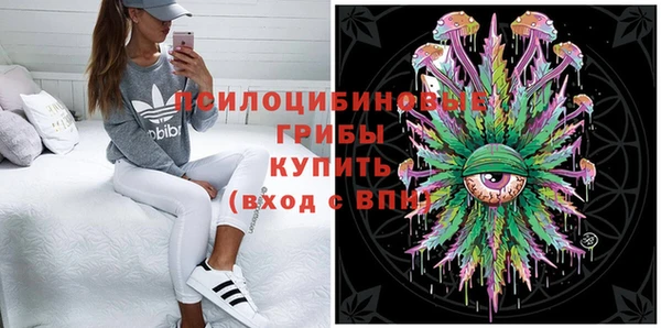 молекула духа Елабуга