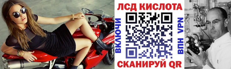 купить наркоту  Калач  Наркотические марки 1500мкг 